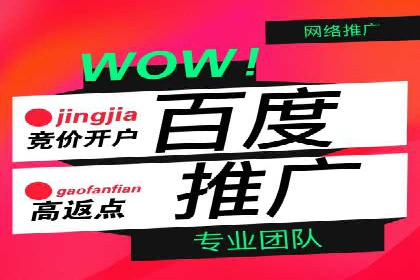 案例分享：百度竞价广告投放策略与效果